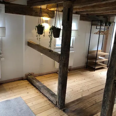 Haus Lupin 度假居 *