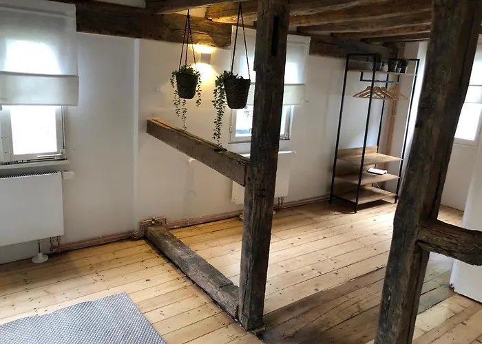 Haus Lupin 度假居 *